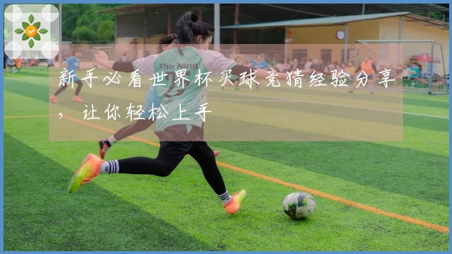 新手必看世界杯买球竞猜经验分享，让你轻松上手