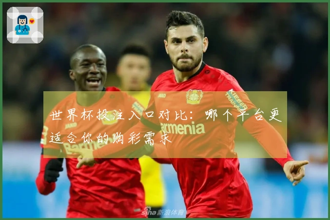 世界杯投注入口对比：哪个平台更适合你的购彩需求