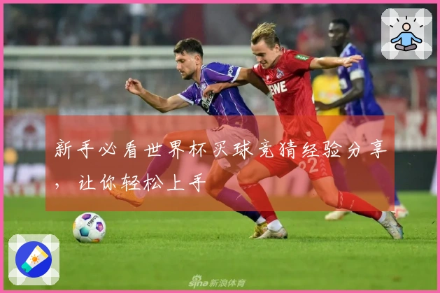 新手必看世界杯买球竞猜经验分享，让你轻松上手