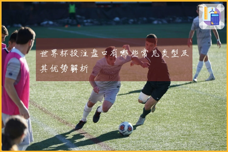 世界杯投注盘口有哪些常见类型及其优势解析