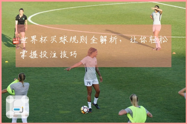 世界杯买球规则全解析，让你轻松掌握投注技巧